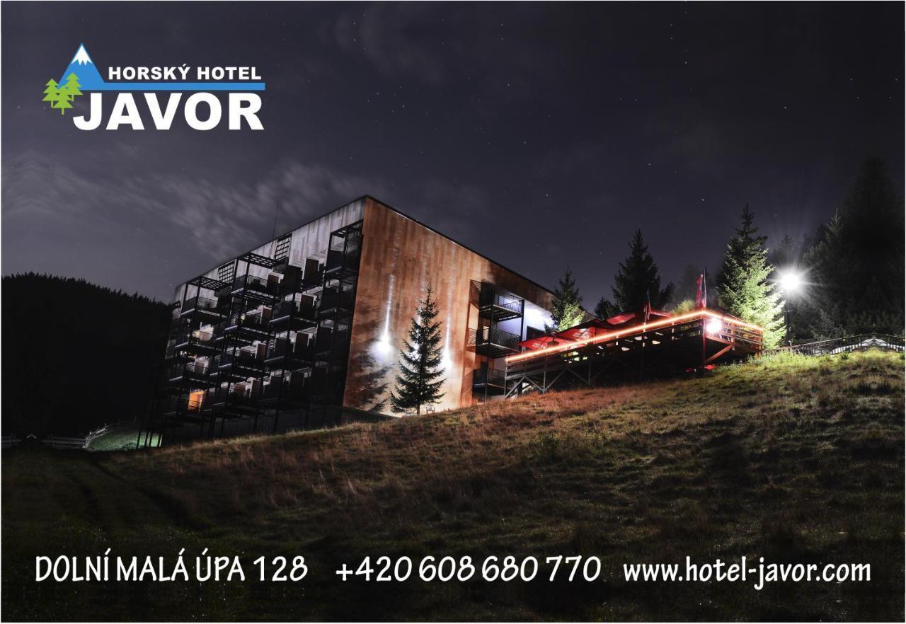 Horsky Hotel Javor Dolní Malá Úpa Exteriör bild